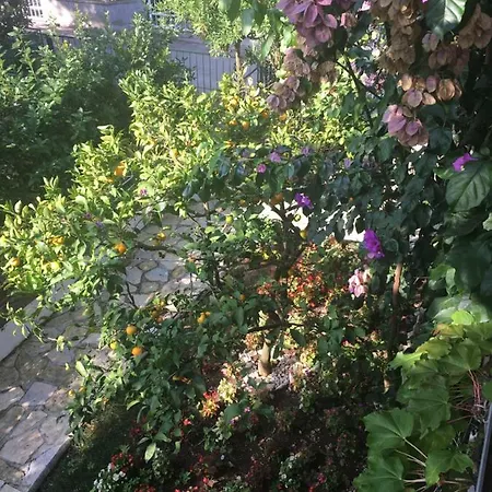 Apartman Matas Petrcane